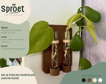 Wall-Mounted Plant Propagation Station | Glass Test Tube Holders (1-3 Tubes)
