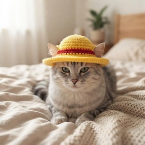 Puede incluir: Un gato atigrado gris lleva un pequeño sombrero redondo de ganchillo amarillo con una banda roja en la base. El sombrero presenta un ala ancha y plana y una superficie texturizada, descansando entre las orejas puntiagudas del gato.