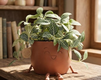 Shelf Plant Decor, 3D Printed Planter with Dangly Legs