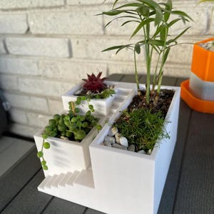 May include: A white tiered planter with a staircase design containing three separate sections. The planter holds a small palm plant, a string of pearls succulent, a dark red succulent, and green moss with white decorative pebbles in the soil.