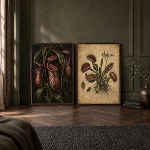 May include: Two rectangular framed wall art prints. The left print features dark green pitcher plants with deep red mottled patterns. The right print displays a botanical illustration of a Venus flytrap with green leaves and red traps on a beige background.