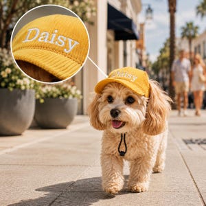 Peut inclure: Une casquette pour animal en velours côtelé jaune avec le mot Daisy brodé en fil blanc sur le devant. La casquette comprend une mentonnière noire réglable avec un curseur coulissant pour la fixer sous le menton d'un petit chien poilu.