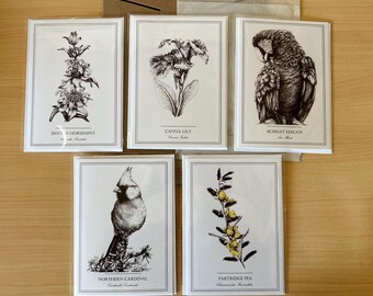 Tarjetas de felicitación en blanco (paquete aleatorio de 5)