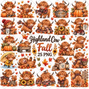 Highland Cow Fall Clipart Bundle, 25 PNG, Cute Autumn Highland Cow, Pumpkin & Fall Leaves, Cozy Farm Animal, Commercial Use