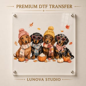May include: A Premium DTF Transfer from Lunova Studio featuring four dachshunds wearing knit hats and scarves. Two dogs wear heart-shaped sunglasses. The dogs are surrounded by autumn leaves, small pumpkins, and mushrooms on a light background.