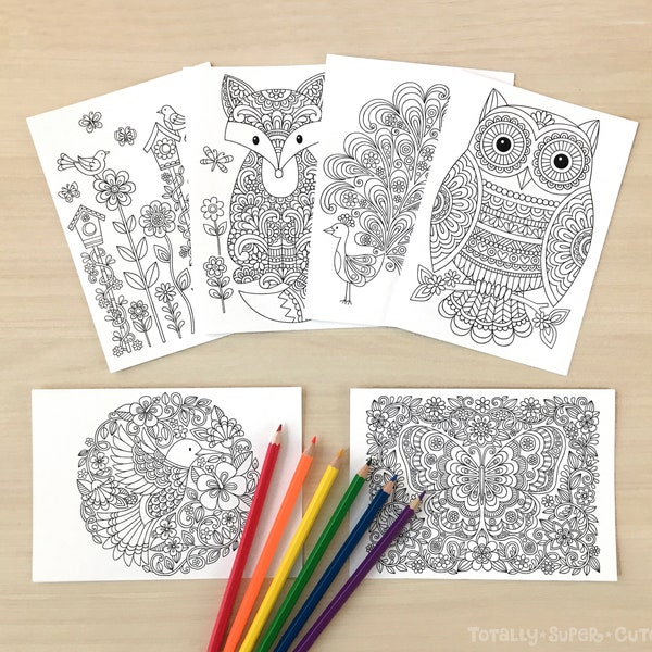 Box of 12 COLORING CARDS  5" x 7" • Notebook Doodles Super Cute Animals Colorable Greeting Cards, Blank Inside, Adults Kids Tweens Card Pack