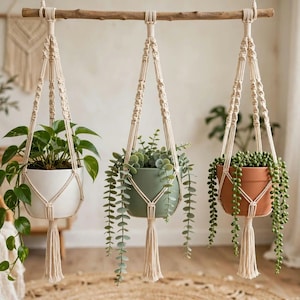Puede incluir: Tres colgadores de plantas de macramé en color blanco roto suspendidos de una rama de madera horizontal. Cada colgador sostiene una planta diferente: una maceta blanca con potos, una verde salvia con suculenta y una de terracota con planta rosario.