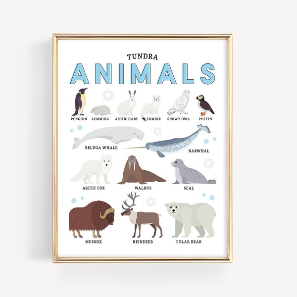 Arctic Tundra Animals Education Printable · Homeschool Learning Montessori Materials · Polar Bear Reindeer Classroom Art · DIGITAL FILE