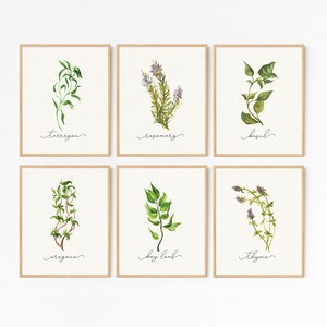 Herb Prints · Set of 8 · Herb Printable Collection · Kitchen Decor ...