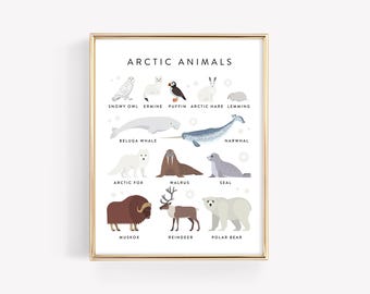 ●【訳アリ】　Tundra　他言語　１枚 Arctic Tundra Animals Education Printable · Homeschool Learning