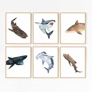 Shark Prints · Set of 6 · Shark Nursery · Ocean Sea Animal Nursery · Shark Printable Art · Hammerhead Great White Art · DIGITAL FILES
