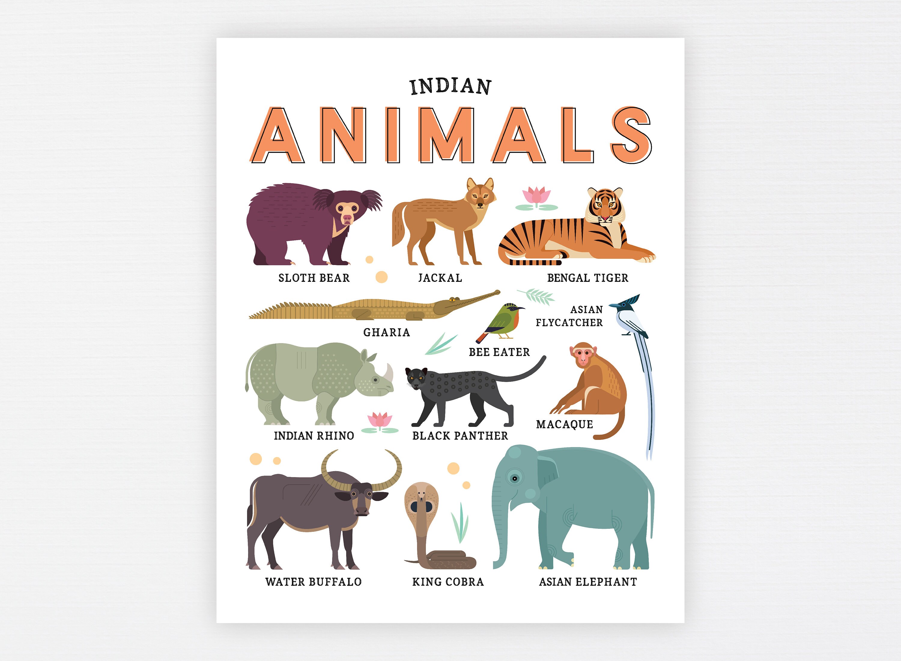 Buy Asian Indian Animals Education Printable Homeschool Learning Online in India - Etsy Buy Asian Indian Animals Education Printable Homeschool Learning Online in India - Etsy