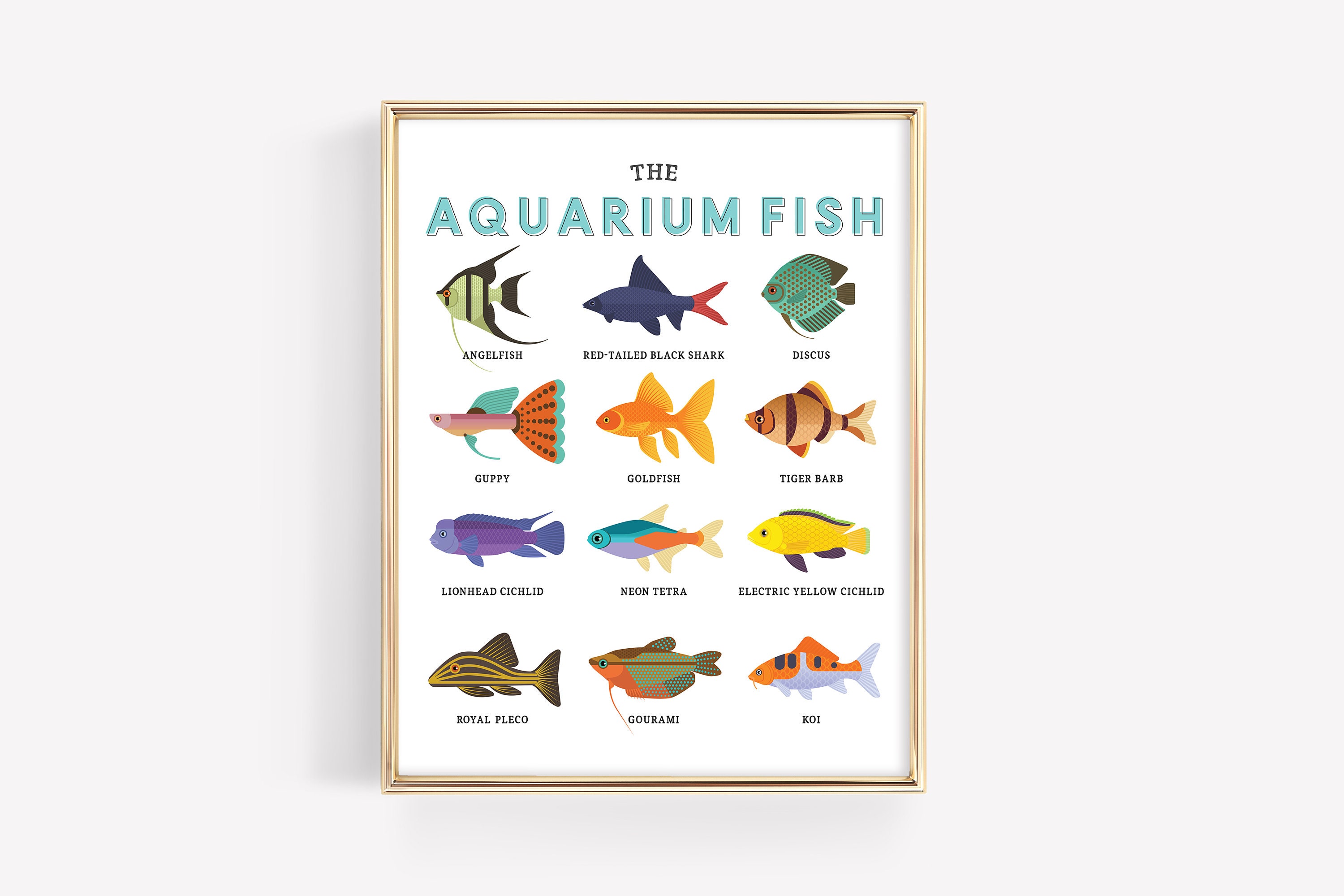 Aquarium Fish Education Printable Homeschool Learning Montessori Materials  Aquatic Classroom Downloadable Art Prints DIGITAL FILE 