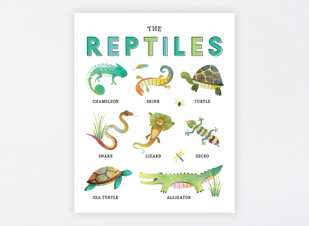 Reptiles Education Printable Reptile Lizard Snake Homeschool - Etsy