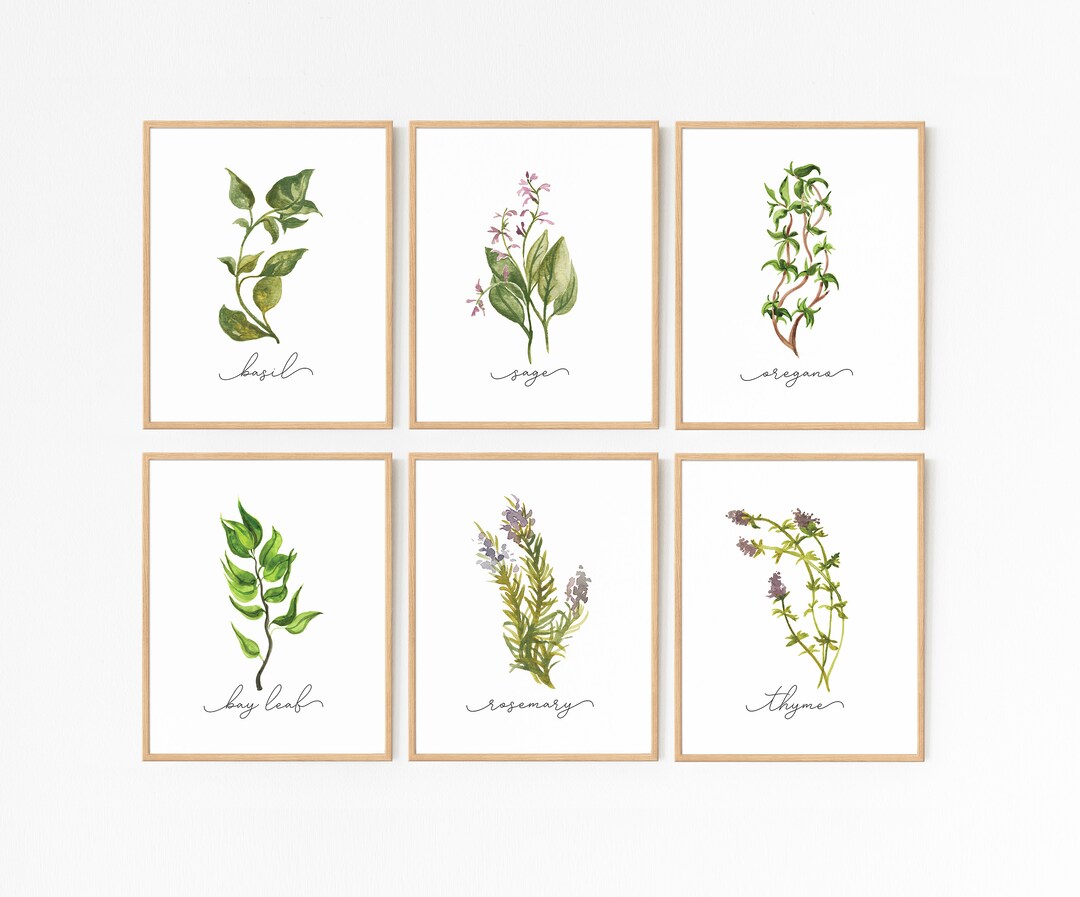 Herb Prints · Set of 8 · Herb Printable Collection · Kitchen Decor ...