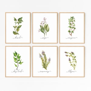 Herb Prints · Set of 8 · Herb Printable Collection · Kitchen Decor · Herb Wall Signs · Oregano Sage Rosemary Basil Thyme · DIGITAL FILES