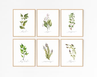 Herb Prints · Set of 8 · Herb Printable Collection · Kitchen Decor · Herb Wall Signs · Oregano Sage Rosemary Basil Thyme · DIGITAL FILES