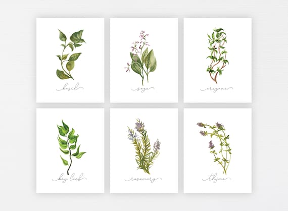 Herb Prints Set of 9 Herb Printable Collection Kitchen - Etsy Canada