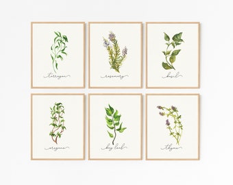 Herb Prints · Set of 8 · Herb Printable Collection · Kitchen Decor · Herb Wall Signs · Oregano Sage Rosemary Basil Thyme · DIGITAL FILES
