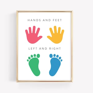 May include: A printable poster with the text "Hands and Feet" and "Left and Right" with illustrations of hands and feet in different colors. The hands are pink and yellow, and the feet are green and blue.