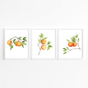 Orange Prints · Set of 3 · Oranges Kitchen Print Set · Dining Room Art · Orange Kitchen Home Decor · Citrus Lemon Printable · DIGITAL FILES