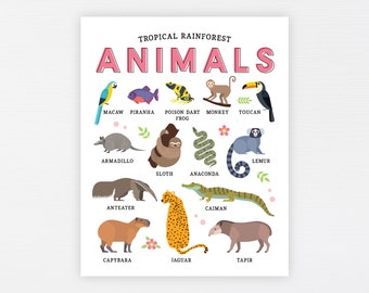 Tropical Rainforest Animals Education Printable Homeschool - Etsy Tropical Rainforest Animals Education Printable Homeschool - Etsy