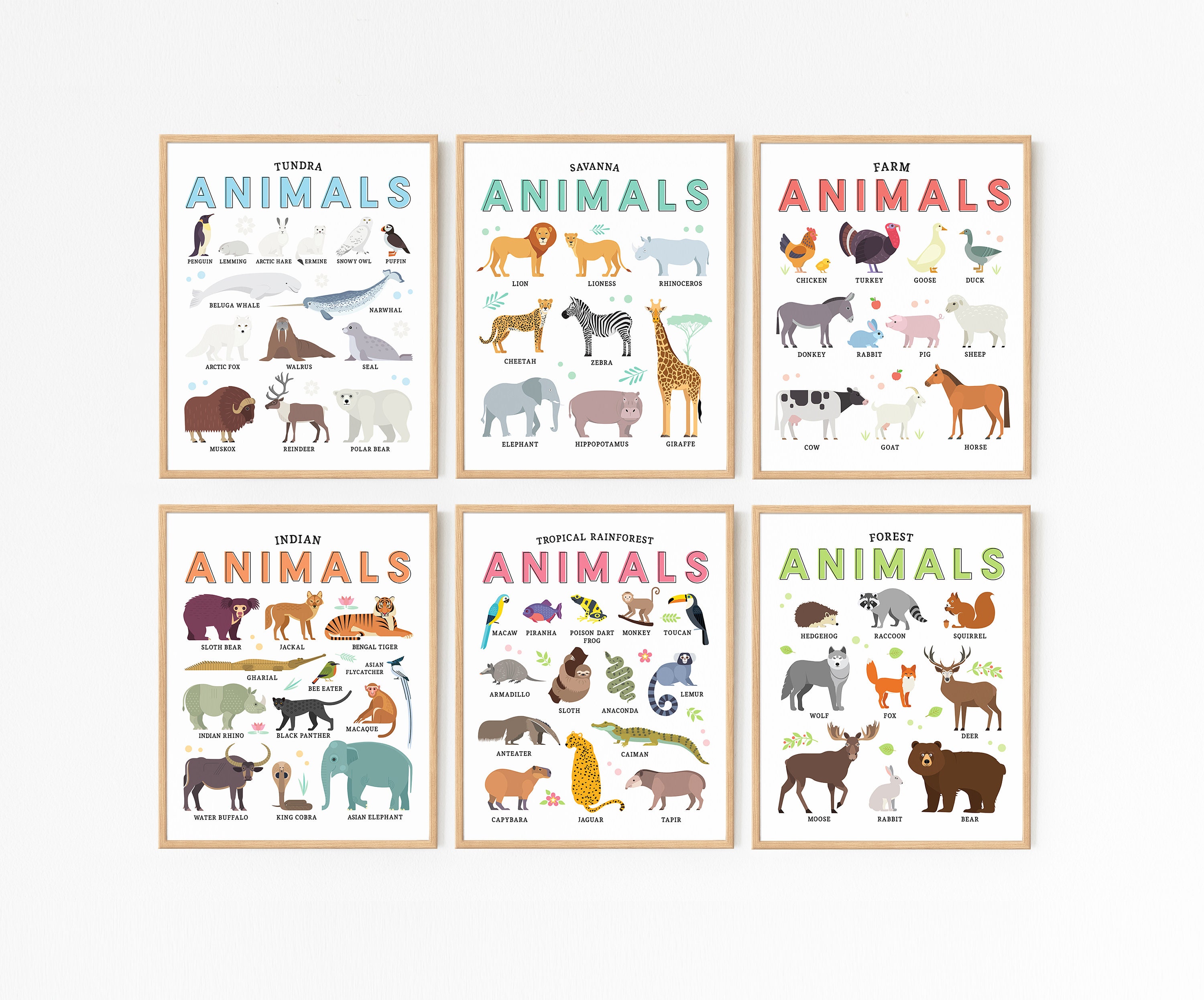 Animal Education -  Canada
