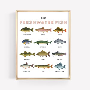 Freshwater Fish Education Printable · Homeschool Learning Montessori Materials · Aquatic Classroom Downloadable Art Prints · DIGITAL FILE