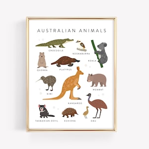 Affiche d'animaux australiens · Éducation imprimable · Enseignement Montessori à la maison · Art de la salle de classe émeu kangourou quokka wombat · FICHIER NUMÉRIQUE
