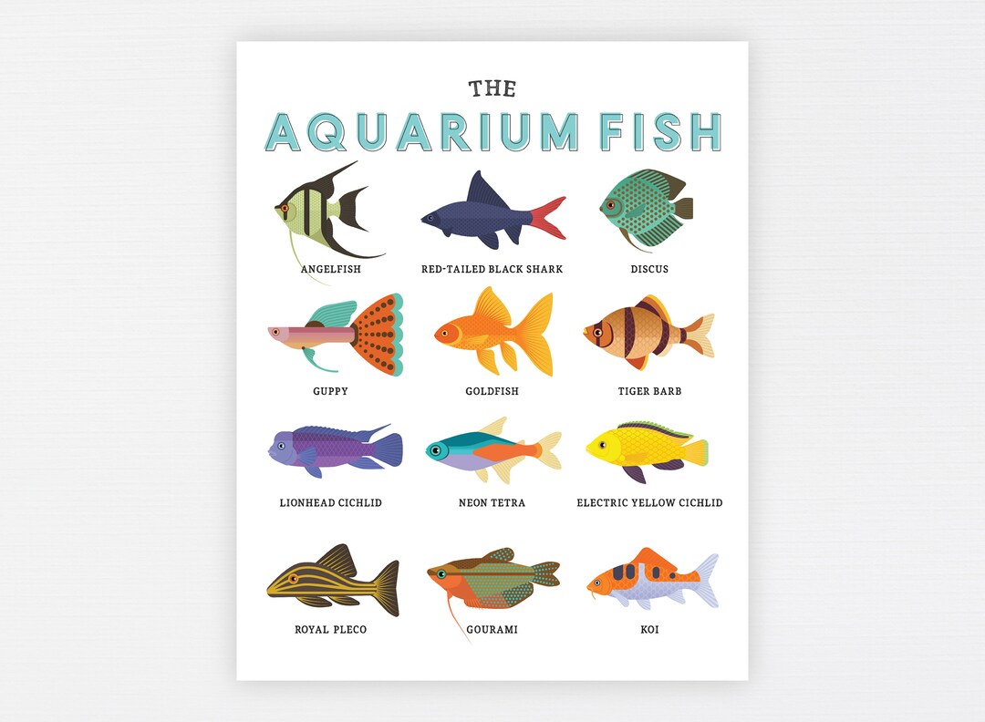 Fish Names - Explore List of 20+ Fish Names in English