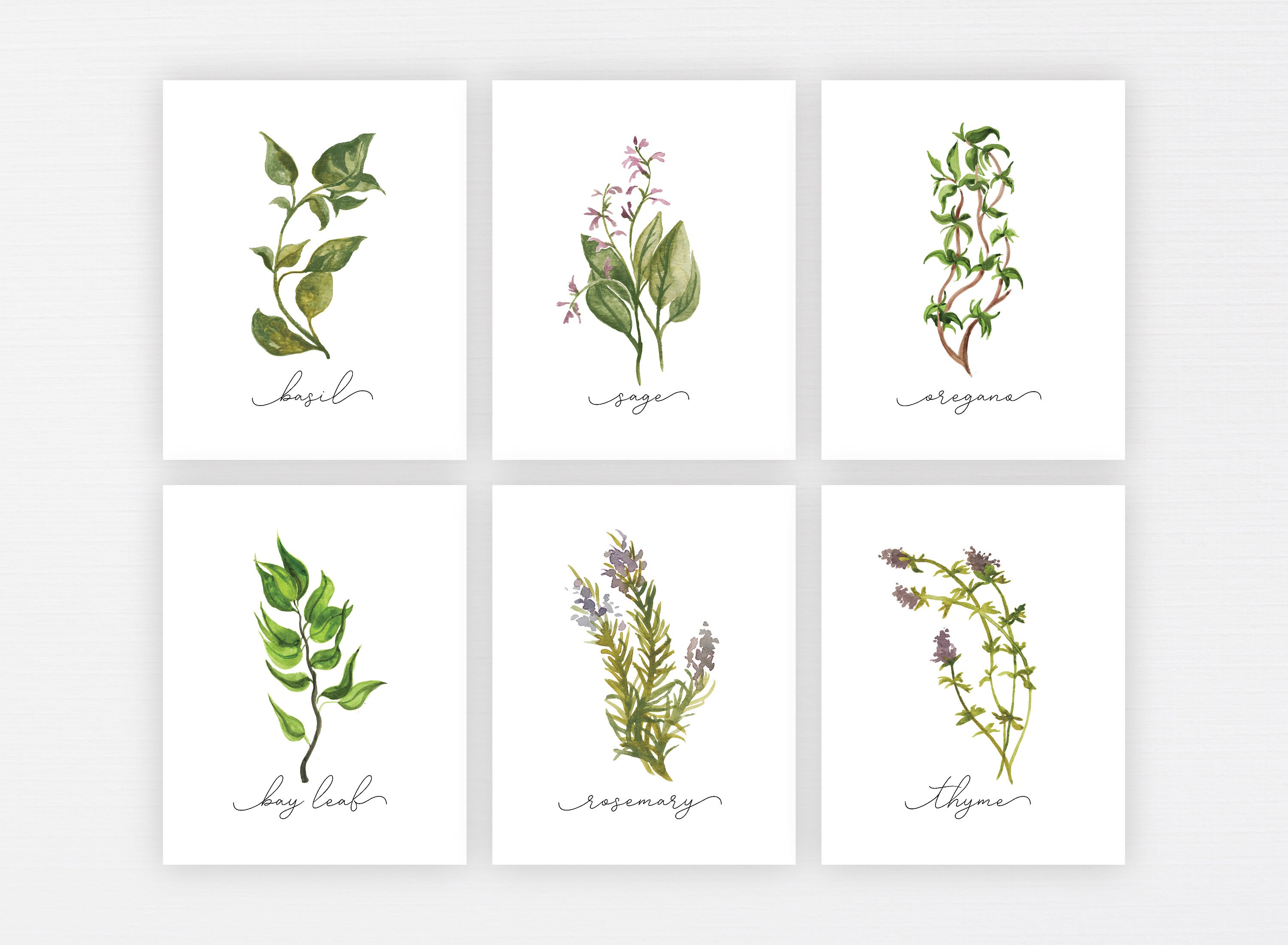 Herb Prints Set of 9 Herb Printable Collection Kitchen | Etsy
