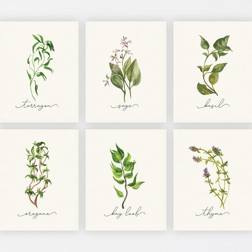 Set of 6 Herbs Watercolor Digital Print Instant Art INSTANT | Etsy