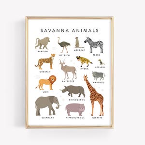 Savanna Animals ·  African Safari Animals Education Printable · Homeschool Learning · Elephant Lion Giraffe Cheetah Classroom · DIGITAL FILE