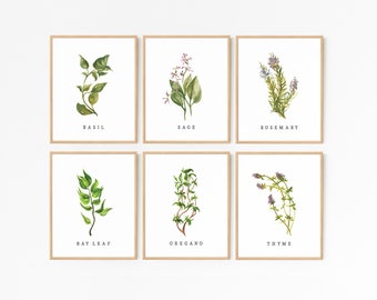 Láminas de hierbas · Juego de 8 · Colección de láminas de hierbas para imprimir · Decoración de cocina · Letreros de hierbas para pared · Orégano, salvia, romero, albahaca, tomillo · ARCHIVOS DIGITALES