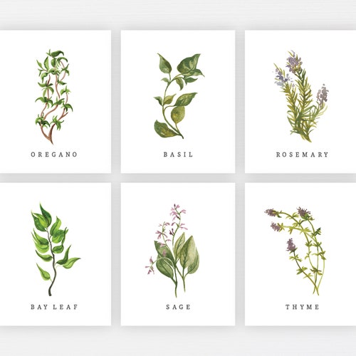 Set of 6 Watecolour Herb Prints Kitchen Decor Kitchen - Etsy