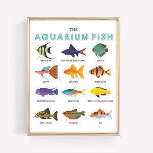 Aquarium Fish Education Printable · Homeschool Learning Montessori ...