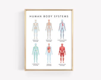 Menschliche Körper-System-Bildung druckbare · Hausschule lernen Montessori Materialien · Klassenzimmer Wandkunst · Kid Anatomy Download · DIGITALE DATEI