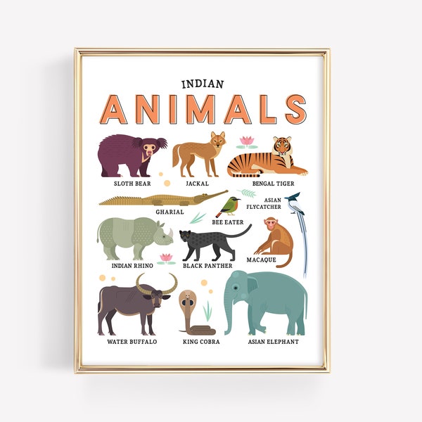 Asian Indian Animals Education Printable · Homeschool Learning Montessori · Bengal Tiger Sloth Bear Panther Rhino Classroom · DIGITAL FILE