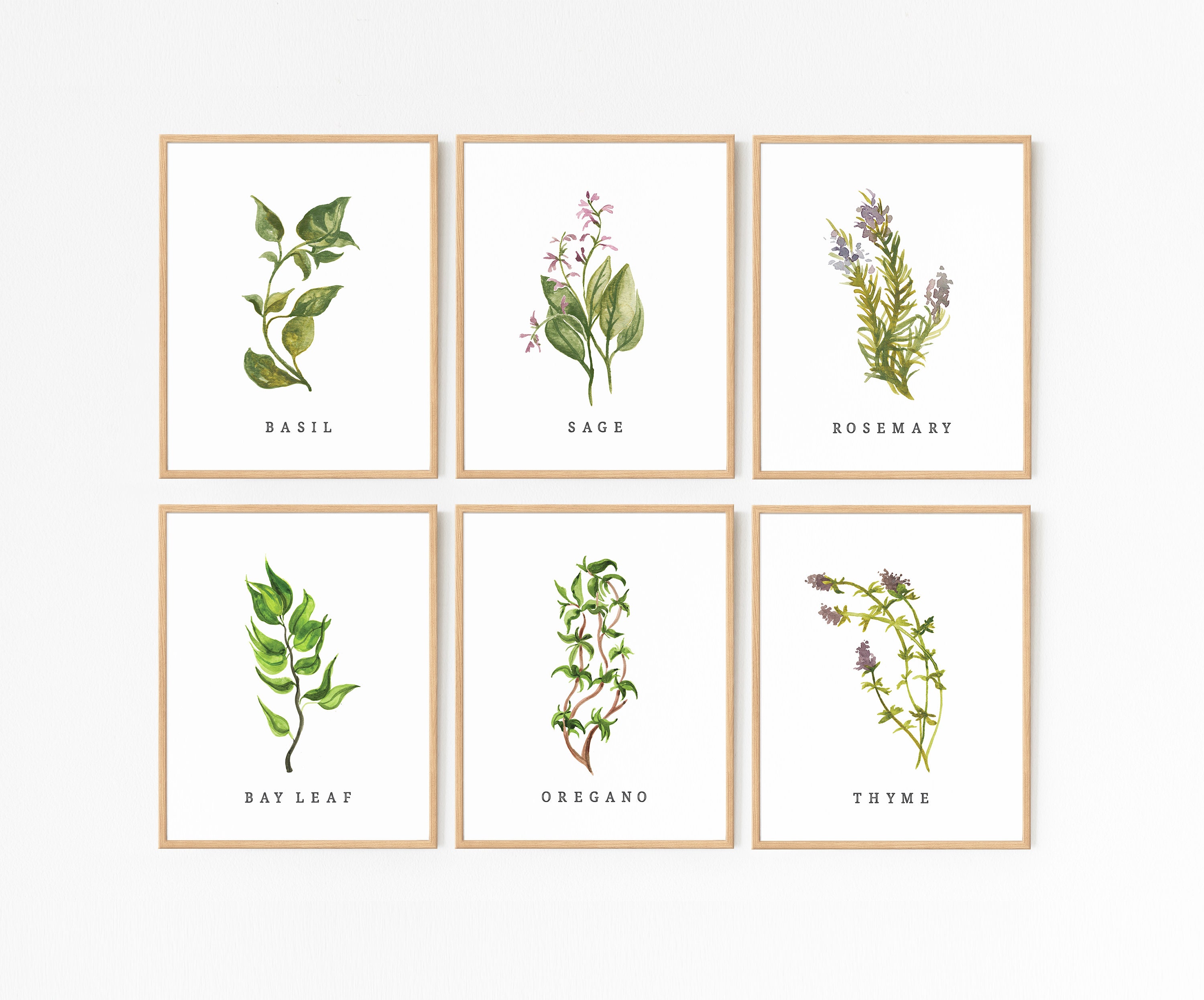 Herb Prints · Set of 8 · Herb Printable Collection · Kitchen Decor ...