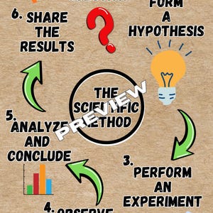 Set di 4 schede didattiche sul metodo scientifico: decorazioni per aule STEM, materiale stampabile educativo (download digitale)