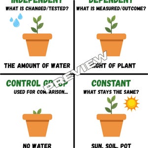 May include: An educational poster titled VARIABLES with four sections: INDEPENDENT, DEPENDENT, CONTROL, and CONSTANT. Each section features a terracotta pot with a green plant, icons for water and sun, and text explaining scientific variables.