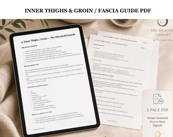 Inre lår och ljumske Fascia och nervsystem Guide PDF för kroppsarbetare