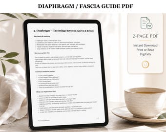 Diafragmafascia och nervsystemguide PDF för kroppsarbetare
