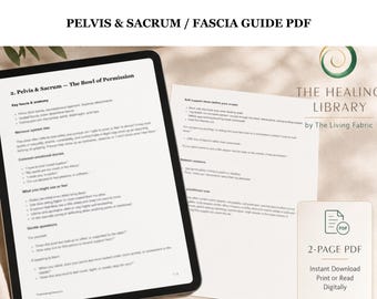 Bäcken- och korsbensfascia och nervsystemguide PDF för kroppsarbetare