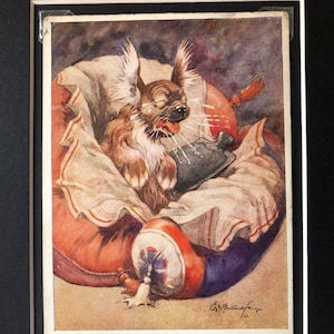 vintage Studdy carte postale Pekingese drôle chien personnage 1920S George Studdy R.P.S série No. 1001 carte postale photo Unique Collector's item