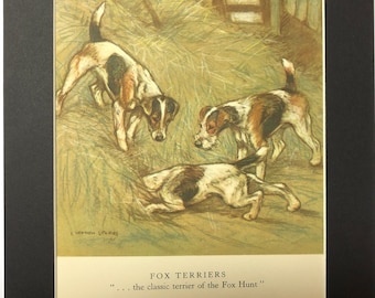 1947 FOX TERRIER DOGS Vintage signed original Vernon Stokes mounted dog bookplate print Unique gift Christmas, Birthday, Thanksgiving