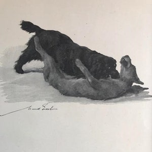 SPANIEL DOG Irish terrier Maud Earl Vintage 1932 mounted signed Spaniel dog plate print Unique gift Christmas, Birthday, Thanksgiving gift