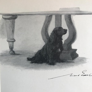 SPANIEL DOG  Maud Earl Vintage 1932 mounted signed Spaniel dog plate print Unique gift Christmas, Birthday, Thanksgiving gift