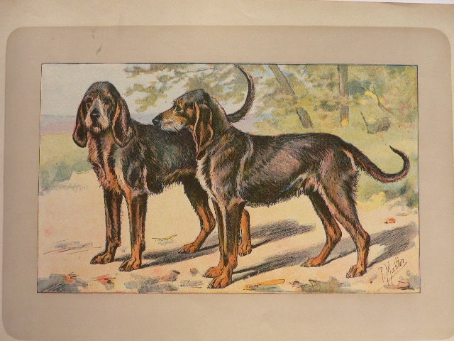 フランスアンティーク　犬 フランスアンティーク 犬 ぬいぐるみ ベージュ dog | Brocante
