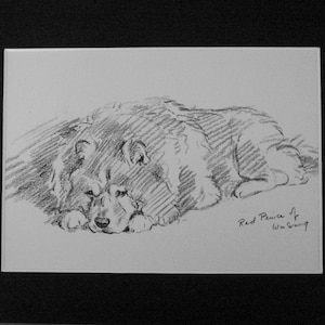 Chow Chow Vintage Mounted 1936 &#39;Mac&#39; Lucy Dawson Hundeteller Druck Geschenk Roter Prinz von Wu Sung Einzigartiges Weihnachtsgeburtstagsgeschenk
